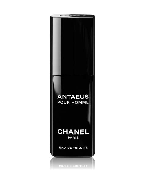 chanel antaeus fragrantica|chanel antaeus price.